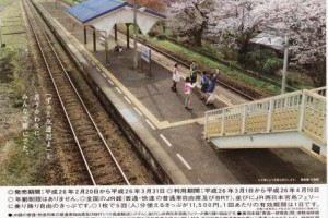 點解用「青春18」？