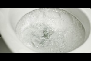 [知識分享]沖水後還在馬桶旁？5件你會在廁所做錯的事