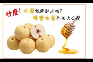 水梨能潤肺止咳? 蜂蜜白梨作法大公開