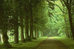 人生最大的修养是包容 @ 樂觀而盡力、平靜無漣漪、關懷加信任、雲過風就來。 :: 隨意窩 Xuite日誌
