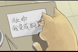  《一條狗》人與狗互換身體的故事 