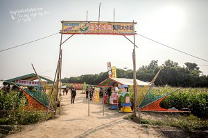 嘉義|2014義竹鄉玉米文化季．全台最大玉米迷宮~歡迎來挑戰!!!