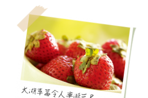   	苗栗文化觀光旅遊網 - 錯誤訊息頁 / error page   