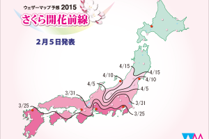 2015日本櫻花開花予想