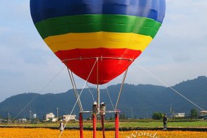【三星景點】花海氣球嘉年華。來賞波斯菊花海，拍熱氣球照片～ @ 捲捲頭 wonderful 品味。生活 :: 痞客邦 pixnet ::