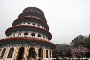 【台北淡水旅遊】怎麼去淡水天元宮 賞櫻花 看櫻花 拍櫻花-行程篇 @ 【藥師吉米】- 旅行‧攝影‧美食‧科技‧健康 :: 痞客邦 pixnet ::