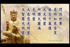 地藏菩薩本願經讀誦D3華藏退居沙門釋淨空道昇居士眾等恭誦