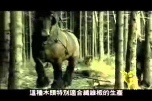 E0板材介紹新竹系統廚櫃竹北系統傢俱綠建材原木傢俱推薦綠芯