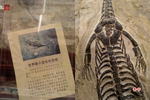 喜羊羊2015天珠寺磁場露天拍賣官方購物線上請緣安心放心用心藝品禮品健康吉祥好運來