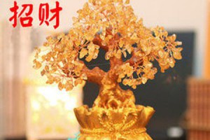 【周周抽免費送】開光黃水晶招財搖錢樹+聚寶袋乾坤袋★新年快樂★正式開跑！祝幸運中獎！