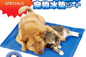 (特賣)日本熱銷款高科技神奇冷分子冰涼墊防暑降溫40*30cm不須冷藏！自然發冷！