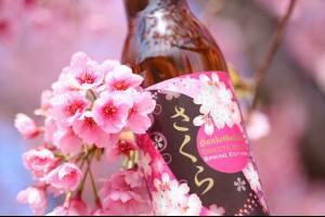 季節限定：櫻花啤酒
