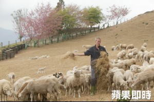 喜羊羊　全台10處賞咩勝地大公開