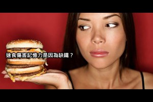 [會念書]吃漢堡傷記憶力？研究建議學生少吃速食