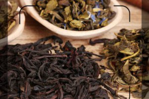 ［美麗筆記］讓你瘦身效率大提升的9種健康茶！