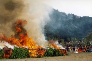 高尾山火渡り祭