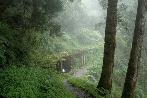 健行筆記 - 湖泊、雲海、日出、鐵軌、山毛櫸