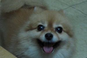 文章相簿_200804