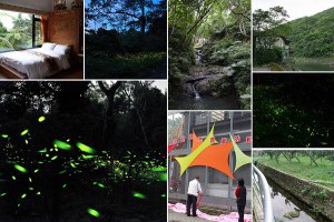 【螢火蟲】全台賞螢景點整理（2015更新版） @ Clare的生活品味（台灣旅遊） :: 痞客邦 PIXNET ::