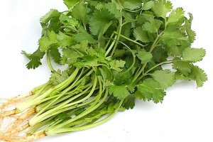 能把「腎臟」洗乾淨的的秘方就是「他」了！癌症的免死金牌 ~