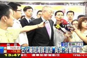 當台灣官員說白海豚會轉彎，看德國大企業願等小蝌蚪變青蛙！