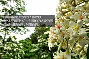 旅人日誌|獨自的旅程也是生命在尋找自我的過程