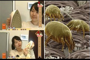 一招殺光床上的「蟎蟲」，只要「兩個小工具」...