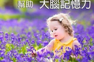 全神貫注複方精油 @ 樂觀而盡力、平靜無漣漪、關懷加信任、雲過風就來。 :: 隨意窩 Xuite日誌