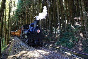 阿里山森鐵FUN暑假 親山親水郵輪列車開賣！-MOOK景點家 - 墨刻出版 華文最大旅遊資訊平台