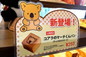 上野新名物，樂天熊仔「磚」