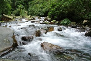 健行筆記 - 【網友心得】松羅國家步道