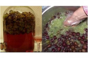 調查結果顯示，吸菸或者吃烤肉等在體內聚集的強致癌物質竟然只靠這個『100%原汁』就可以大量排出！