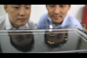 生活技.net: 像水黽在水面跳躍的微型機器人