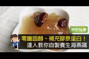 早安健康|零膽固醇、補充膠原蛋白！達人教你自製養生海燕窩