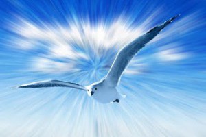  風雲海: 《心靈霂語》內在聖靈，引導你至喜悅平安，真寬恕與合一；定罪的模式，直接把你導向地獄。 