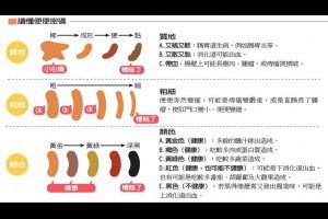 圖解：便便顏色、粗細 讀出健康 | 消化系統 | 健康百科 | 元氣網