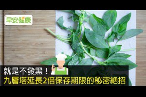 早安健康|就是不發黑！九層塔延長2倍保存期限的秘密絕招