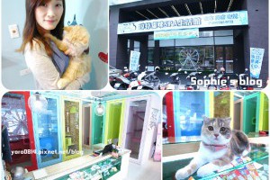 「生活」貓咪安親♪美容SPA♪台中貓咪旅館❤瑋特貓咪生活館 @ Sophie's blog♥蘇菲愛分享 :: 痞客邦 PIXNET ::