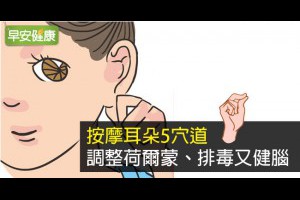早安健康|按摩耳朵5穴道，調整荷爾蒙、排毒又健腦