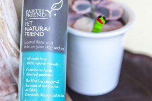 [體驗]EARTHFRIEND-粉厲害PetNaturalFriend天然寵物除蚤粉