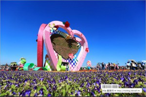 【2015新社花海】爆藍天空下的璀燦花毯～繽紛十年的新社花海，依舊夢幻登場！