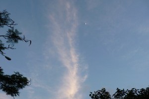 [小說]天亮前說我愛你（五）