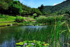 健行筆記 - 【路線】野餐步道
