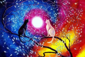  風雲海: 《心靈新博》要去看見自己的帥氣熱情與美麗大方！要去看見自己的方式是如此地美好與讚嘆！ 