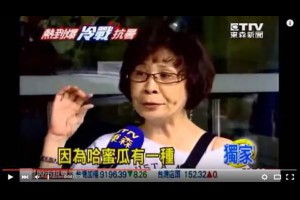 哈密瓜真的有「哈味」！專家表示別再取笑了 - 中時電子報