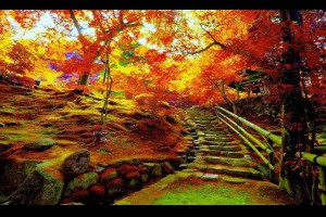  風雲海: 《心靈戲牆》崎嶇難行的路徑是在幻相之列裡，而不是轉向被神所造的天堂與真實之路。 