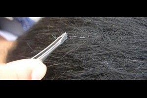 白頭髮千萬別再用染髮劑了！白頭髮其實只要這樣做很快就黑回來了！！ - 家庭誌