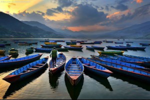  風雲海: 《開心水族箱》〈寄居蟹〉系列的魚款，若是一整缸都放入那種魚款的話，也是非常好看且壯觀的！感覺它有祝福的象徵，於是它祝福了自己，也一併祝福了魚友們。 