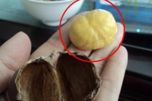 剝栗子殼這麼簡單！我現在才知道！只要這個動作，10顆一次全剝好！快看怎麼做！ 