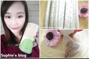 「健康」輕鬆享受低卡無負擔下午茶，還能順暢不卡卡❤Daizy & Co輕盈凍味窕-蜜桃紅茶口味+仙淨草本茶 @ Sophie's blog♥蘇菲愛分享 :: 痞客邦 PIXNET ::